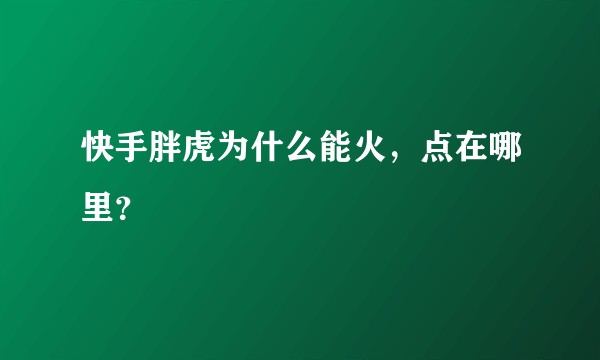 快手胖虎为什么能火，点在哪里？