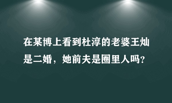 在某博上看到杜淳的老婆王灿是二婚，她前夫是圈里人吗？