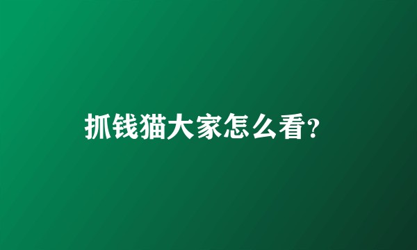 抓钱猫大家怎么看？