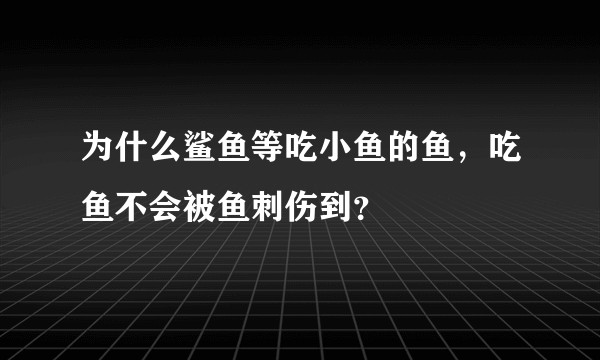 为什么鲨鱼等吃小鱼的鱼，吃鱼不会被鱼刺伤到？