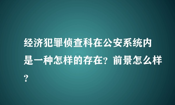 经济犯罪侦查科在公安系统内是一种怎样的存在?前景怎么样?