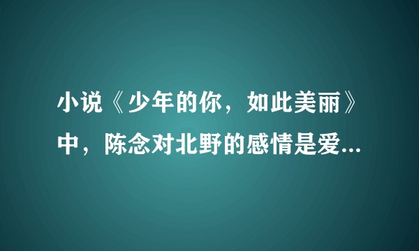 小说《少年的你，如此美丽》中，陈念对北野的感情是爱还是自私？