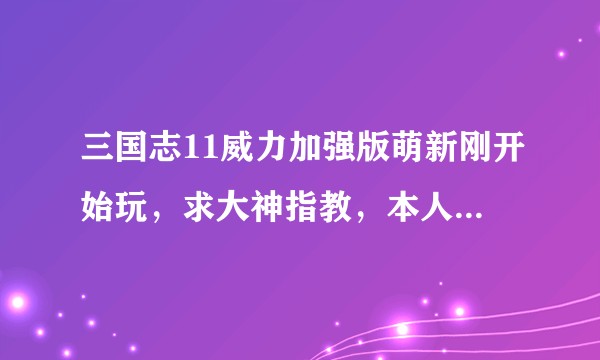 三国志11威力加强版萌新刚开始玩，求大神指教，本人伸手党+小白该怎么玩前期？