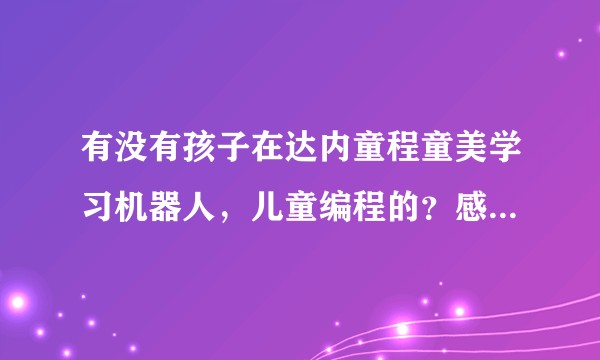 有没有孩子在达内童程童美学习机器人，儿童编程的？感觉怎么样？大家怎么看让孩子从小学编程？