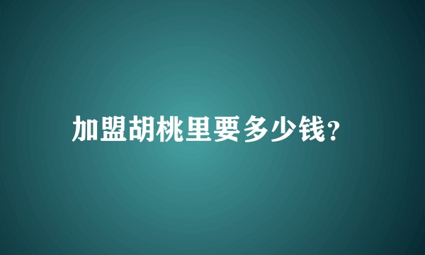 加盟胡桃里要多少钱？