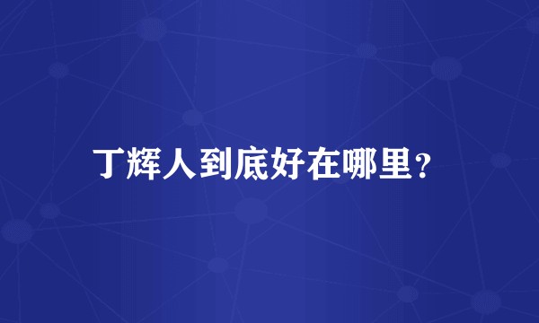 丁辉人到底好在哪里？