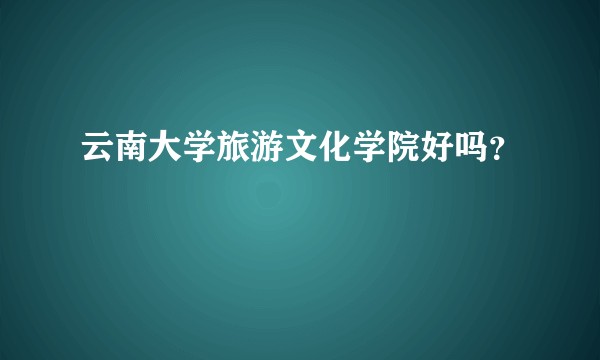 云南大学旅游文化学院好吗？