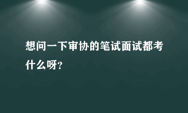 想问一下审协的笔试面试都考什么呀？
