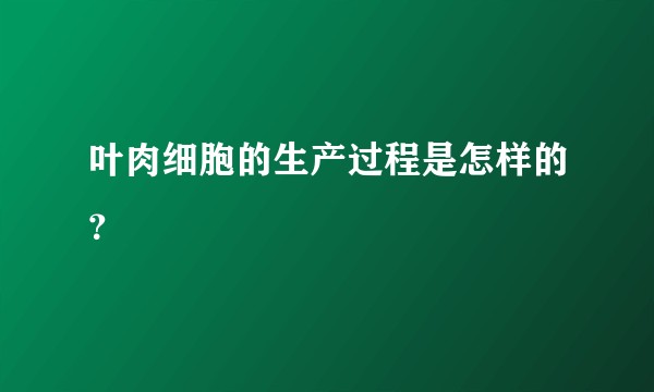 叶肉细胞的生产过程是怎样的？