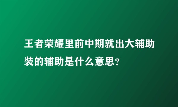 王者荣耀里前中期就出大辅助装的辅助是什么意思?