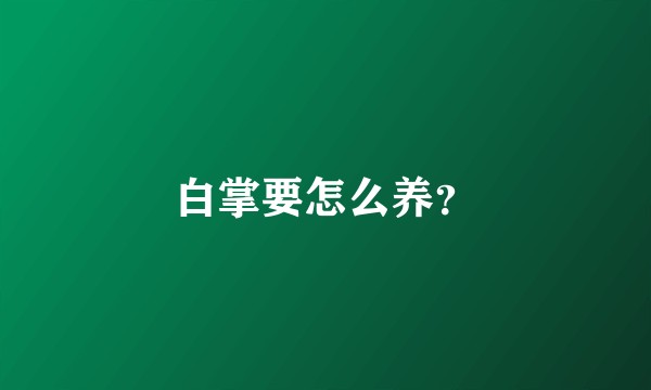 白掌要怎么养？