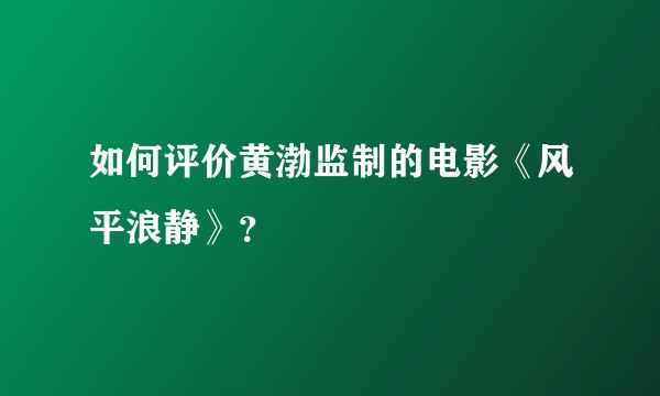 如何评价黄渤监制的电影《风平浪静》？