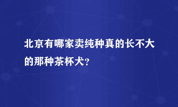 北京有哪家卖纯种真的长不大的那种茶杯犬?