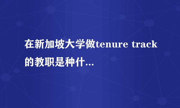 在新加坡大学做tenure track的教职是种什么样的体验？