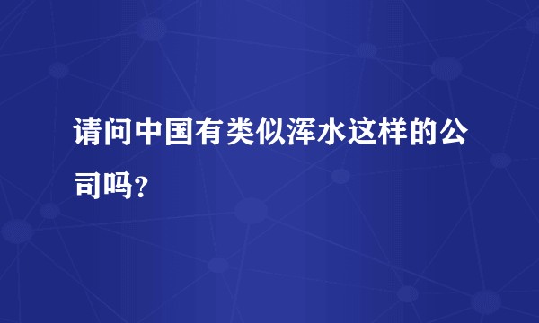 请问中国有类似浑水这样的公司吗？