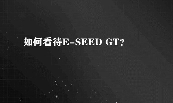 如何看待E-SEED GT？
