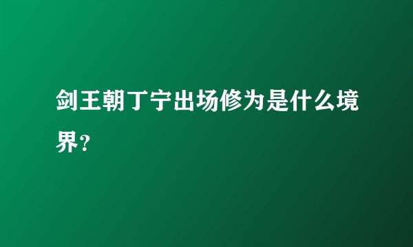 剑王朝丁宁出场修为是什么境界？