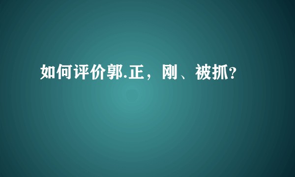 如何评价郭.正，刚、被抓？