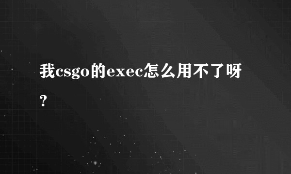我csgo的exec怎么用不了呀？