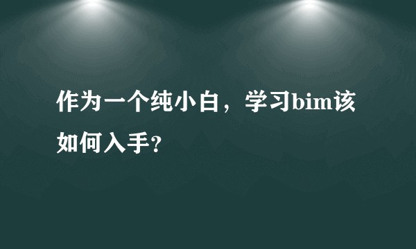 作为一个纯小白，学习bim该如何入手？