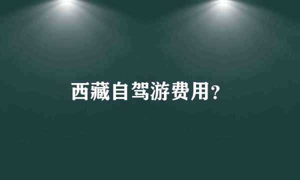 西藏自驾游费用？