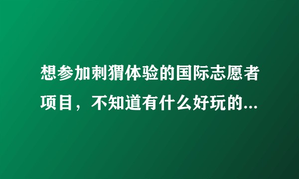想参加刺猬体验的国际志愿者项目，不知道有什么好玩的地方可以推荐呢？