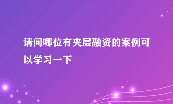 请问哪位有夹层融资的案例可以学习一下
