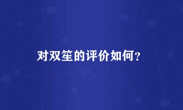 对双笙的评价如何？