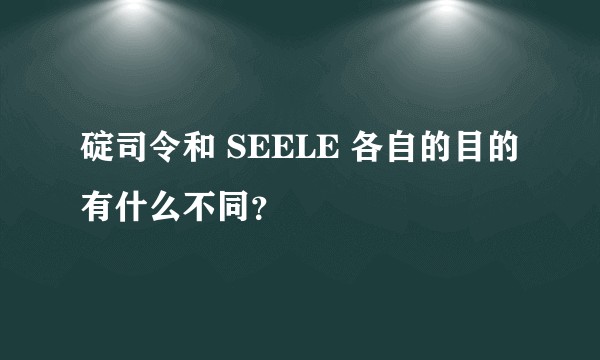 碇司令和 SEELE 各自的目的有什么不同？