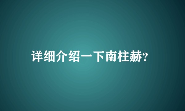 详细介绍一下南柱赫？