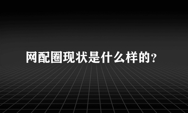 网配圈现状是什么样的？
