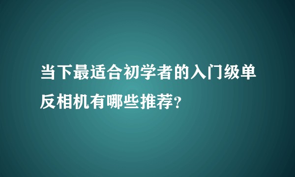 当下最适合初学者的入门级单反相机有哪些推荐？
