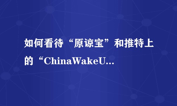 如何看待“原谅宝”和推特上的“ChinaWakeUp”事件?