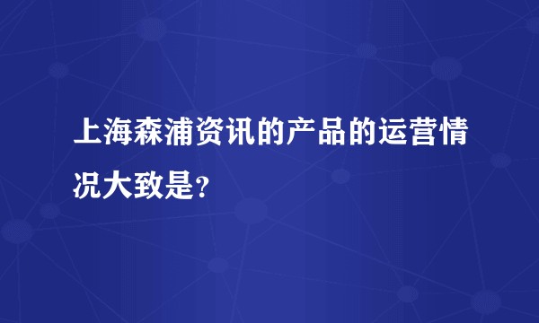 上海森浦资讯的产品的运营情况大致是？