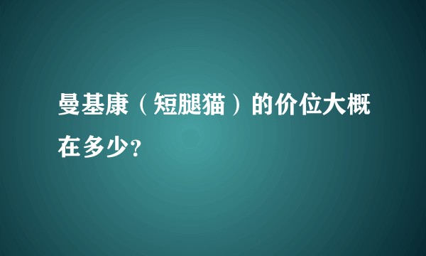 曼基康（短腿猫）的价位大概在多少？