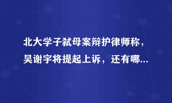 北大学子弑母案辩护律师称，吴谢宇将提起上诉，还有哪些信息值得关注？
