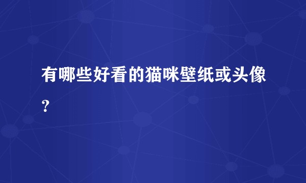 有哪些好看的猫咪壁纸或头像?