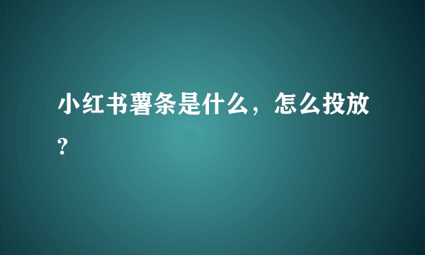 小红书薯条是什么，怎么投放?