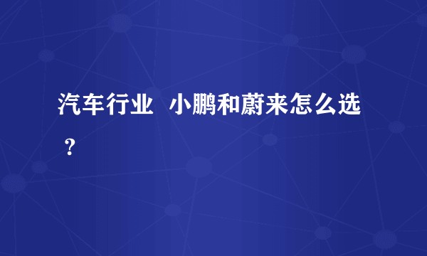 汽车行业  小鹏和蔚来怎么选   ?