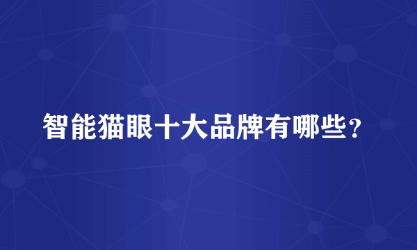 智能猫眼十大品牌有哪些？