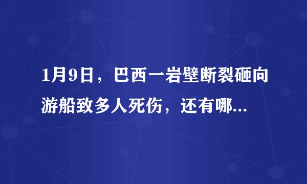 1月9日，巴西一岩壁断裂砸向游船致多人死伤，还有哪些信息值得关注？