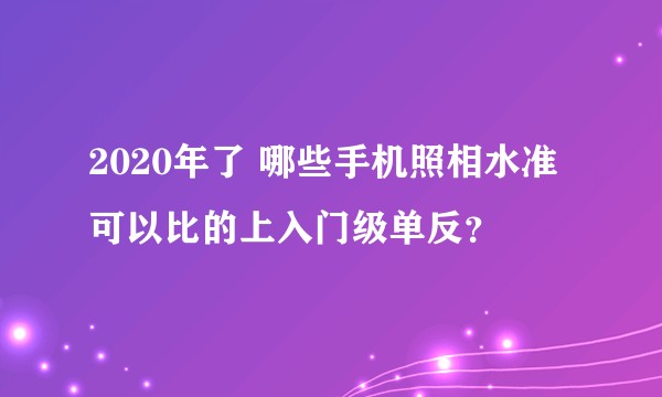 2020年了 哪些手机照相水准可以比的上入门级单反？