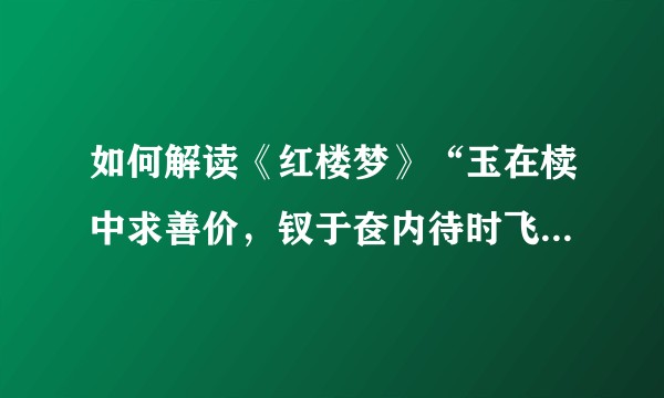 如何解读《红楼梦》“玉在椟中求善价，钗于奁内待时飞”一句？