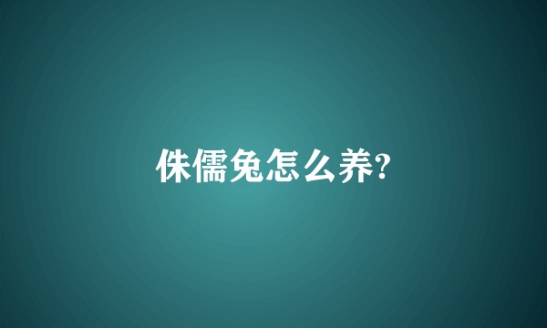 侏儒兔怎么养?