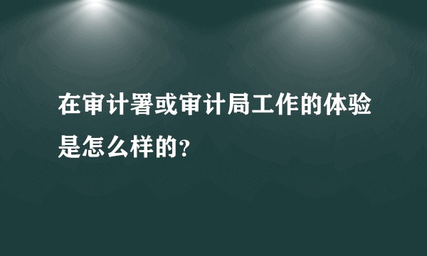 在审计署或审计局工作的体验是怎么样的？