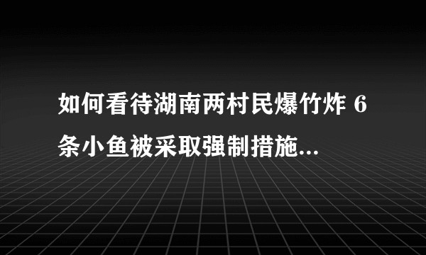 如何看待湖南两村民爆竹炸 6 条小鱼被采取强制措施？为什么只是炸了 6 条小鱼后果这么严重？
