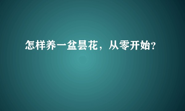 怎样养一盆昙花，从零开始？
