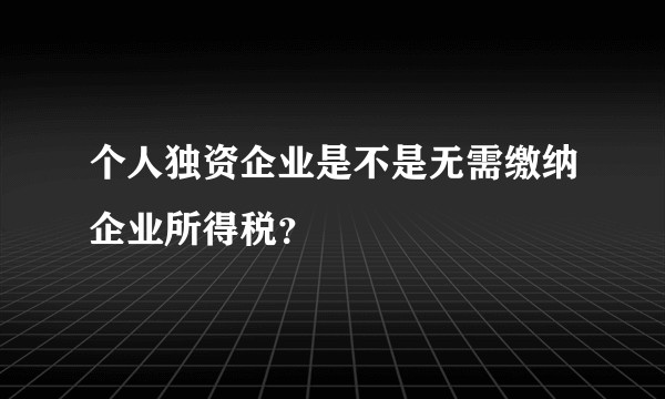 个人独资企业是不是无需缴纳企业所得税？
