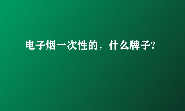 电子烟一次性的，什么牌子?