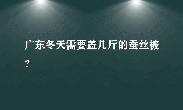 广东冬天需要盖几斤的蚕丝被？